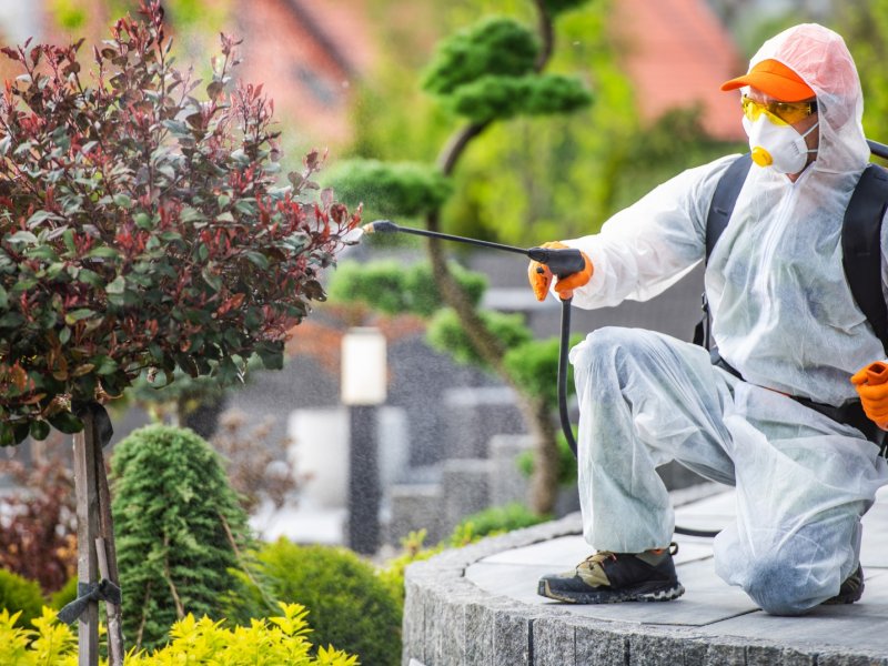 Yahşihan Haşere İlaçlama